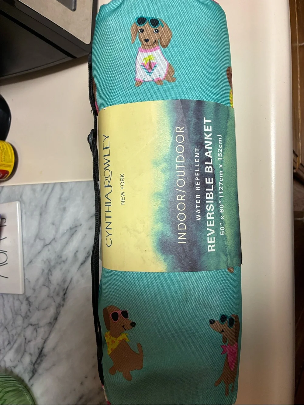 Cynthia Rowley Indoor/Outdoor Reversible Blanket in Teal and Yellow-Green